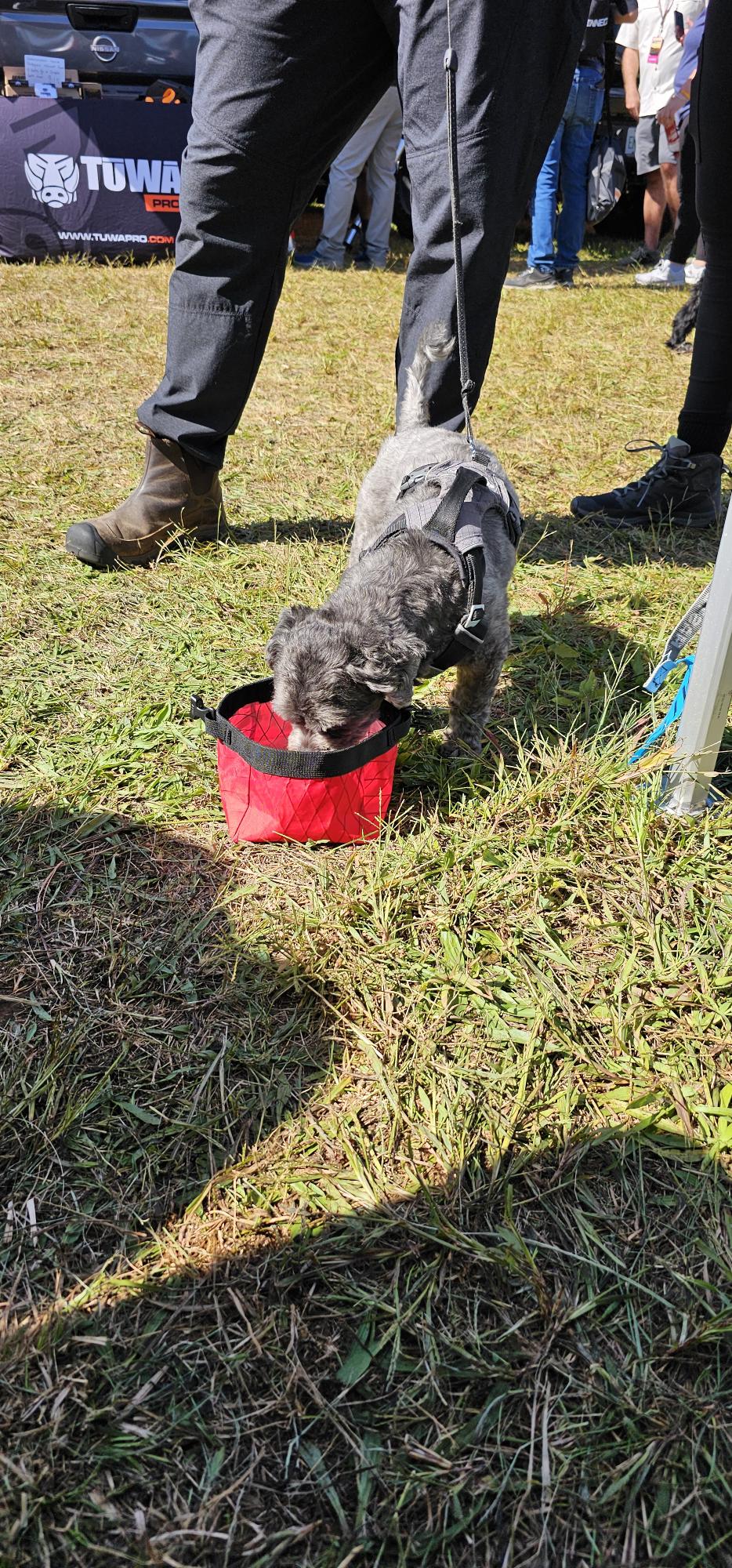Ultra Dog Bowl